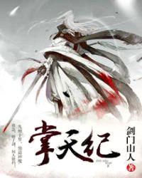 掌天纪封面