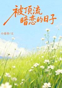 被顶流暗恋的日子封面