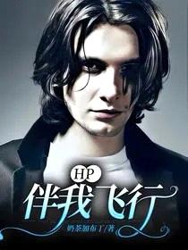 [HP同人] 伴我飞行封面