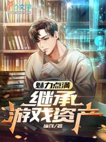 魅力点满，继承游戏资产封面