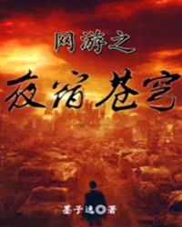 网游之夜宿苍穹封面