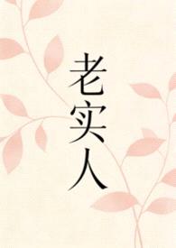 老实人（1v1）封面