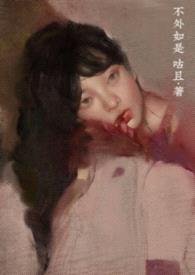 不外如是封面