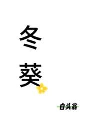 冬葵封面