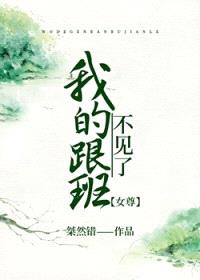 我的跟班不见了[女尊]封面
