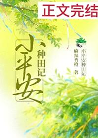 小平安种田记封面