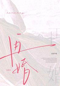 再婚abo封面