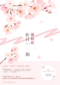 沦陷在昨日一隅封面