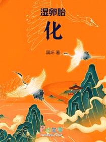 湿卵胎化封面