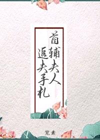 首辅夫人追夫手札封面