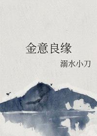 金意良缘封面