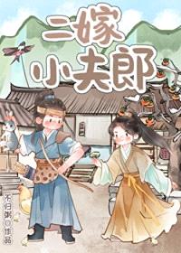 二嫁小夫郎封面