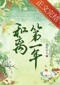 和离第一年封面