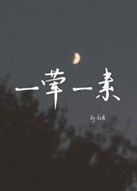 一荤一素封面