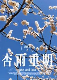 杏雨重明（破镜重圆）封面