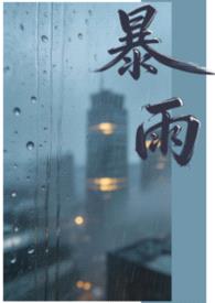 暴雨（1v1）封面