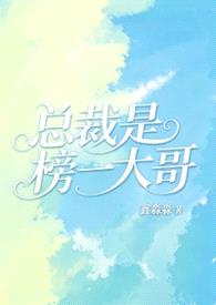 总裁是榜一大哥（1v1H）封面
