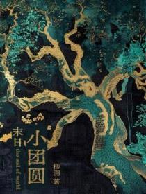 末日小团圆封面