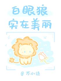 白眼狼实在美丽封面