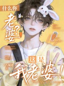 什么你老婆？这是我老婆封面