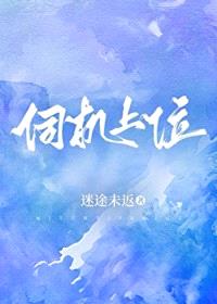 伺机上位封面