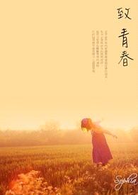 致青春封面