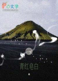 青红皂白封面