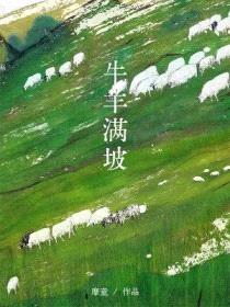 牛羊满坡封面
