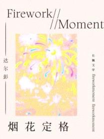 烟花定格封面