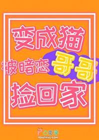 嘿，你的专属毛茸茸来啦封面