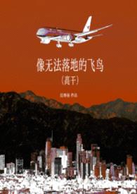 像无法落地的飞鸟（高干）封面