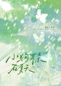 小狗耳朵在夏天封面