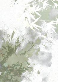 落娘(1v1，强制爱)封面