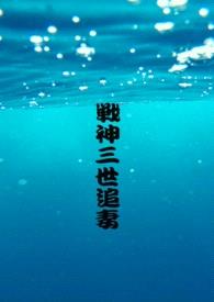 战神三世追妻封面