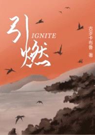 引燃（1v1 年下）封面