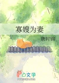 寡嫂为妻封面