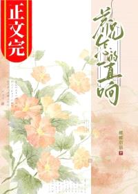养兄为夫封面