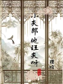 小夫郎他旺夫呀/首辅家的温软小夫郎封面
