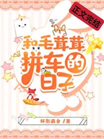 和毛茸茸拼车的日子封面