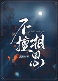 不擅相思封面