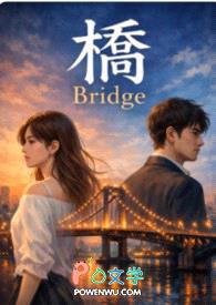 桥 Bridge封面
