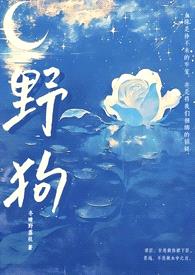 野狗（姐弟骨科H）封面