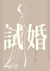 试婚封面
