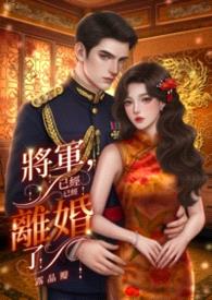 将军，我们已经离婚了封面