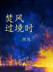 焚风过境时封面