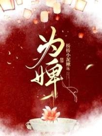 为婢封面