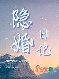 隐婚日记封面