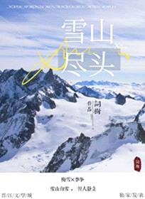 雪山尽头封面