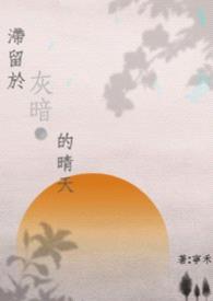 滞留于灰暗的晴天封面