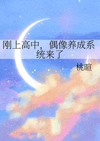 刚上高中，偶像养成系统来了封面